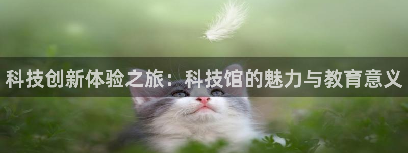 科技创新体验之旅：科技馆的魅力与教育意义