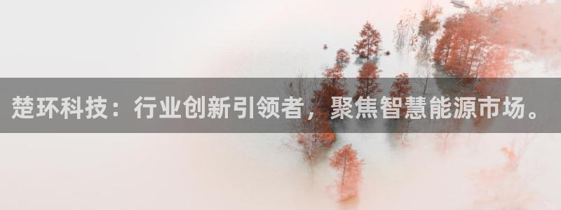 楚环科技：行业创新引领者，聚焦智慧能源市场。