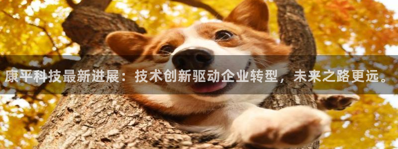 康平科技最新进展：技术创新驱动企业转型，未来之路更远。