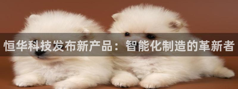 恒华科技发布新产品：智能化制造的革新者