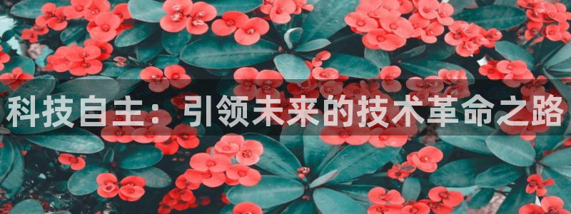 科技自主：引领未来的技术革命之路