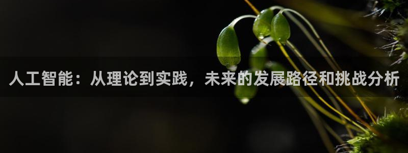 人工智能：从理论到实践，未来的发展路径和挑战分析