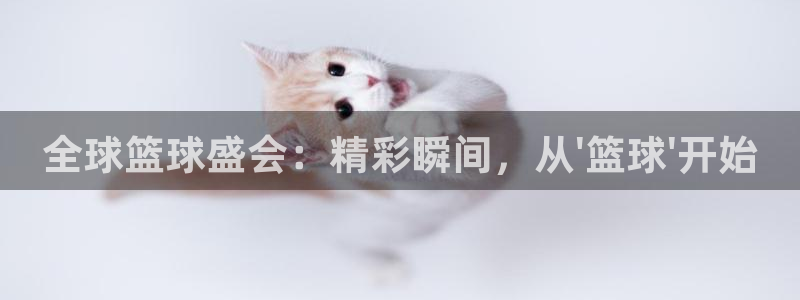 全球篮球盛会：精彩瞬间，从\'篮球\'开始