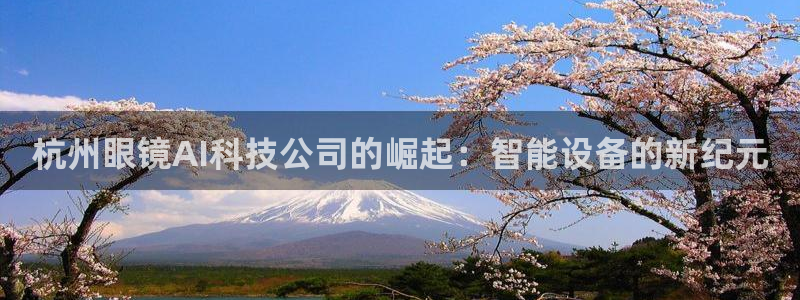杭州眼镜AI科技公司的崛起：智能设备的新纪元