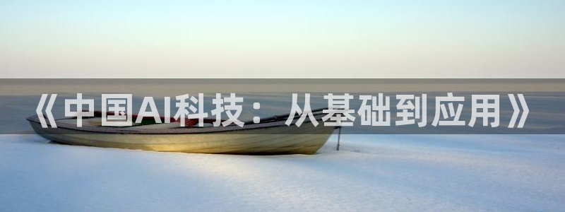 《中国AI科技：从基础到应用》