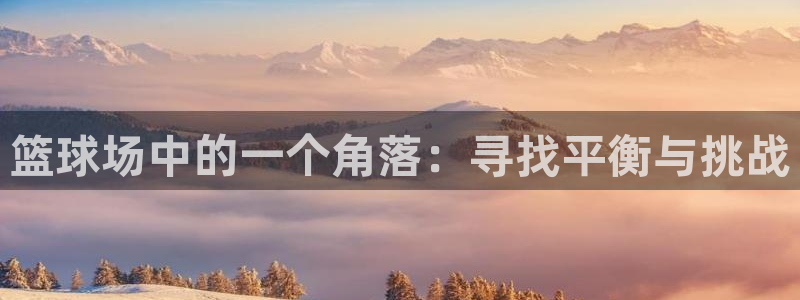 篮球场中的一个角落：寻找平衡与挑战