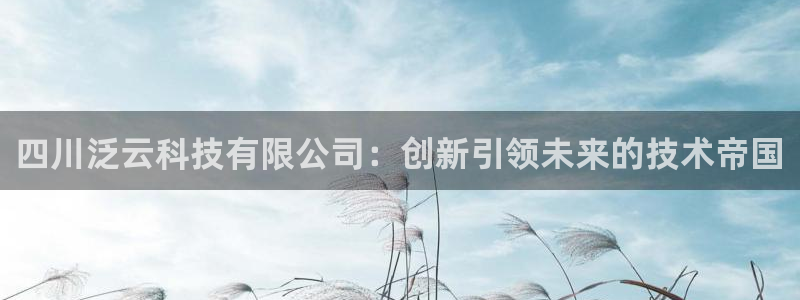 四川泛云科技有限公司：创新引领未来的技术帝国